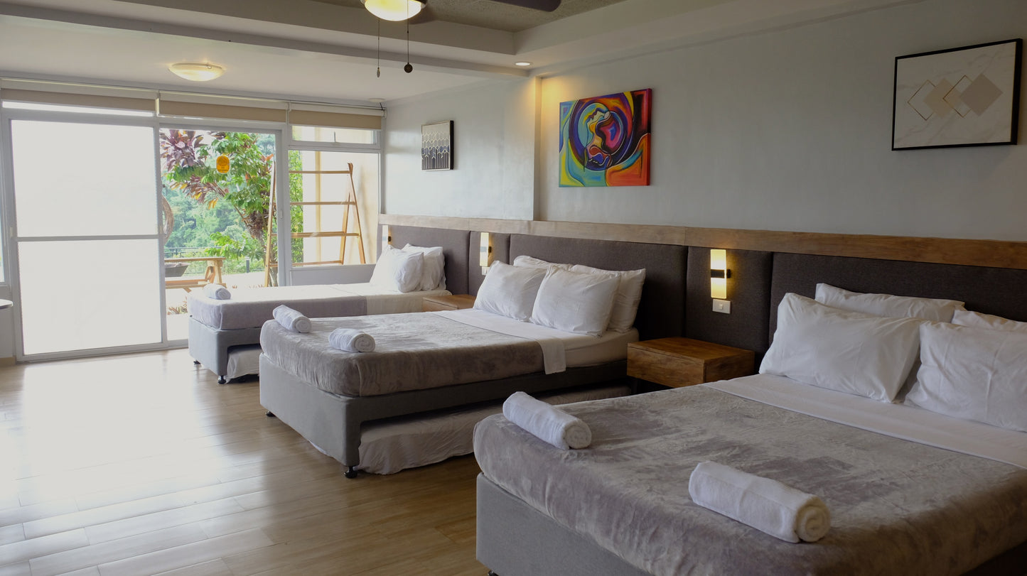 Wing large room. Two double beds, one single bed, three single pull-outs.