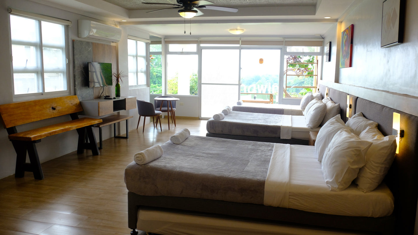 Wing large room. Two double beds, one single bed, three single pull outs. With air conditioner and cable TV.