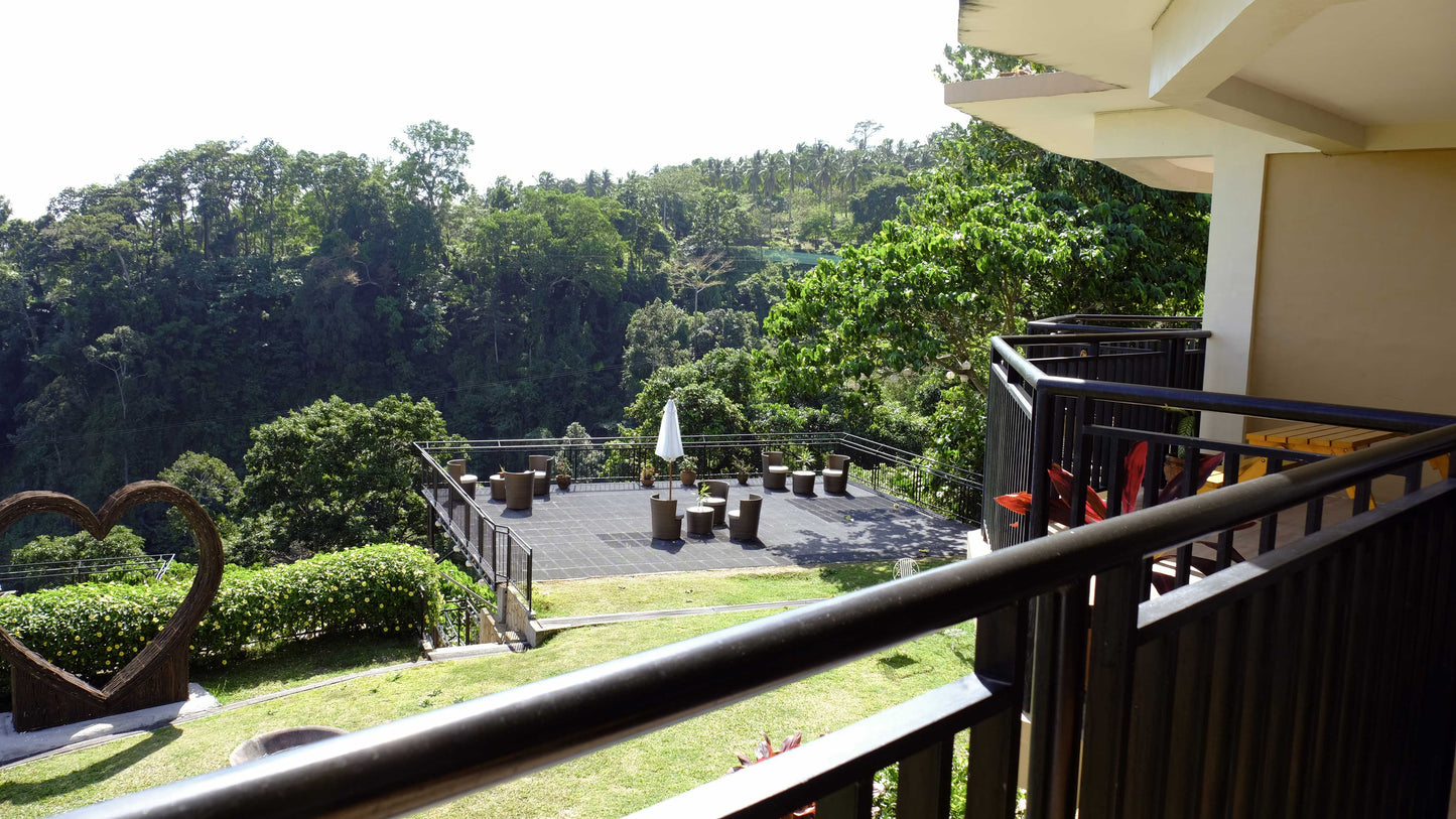 View from Wing balcony. Second floor. 
